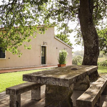 Country House Poggio Aione Pensionat Catabbio Exteriör bild