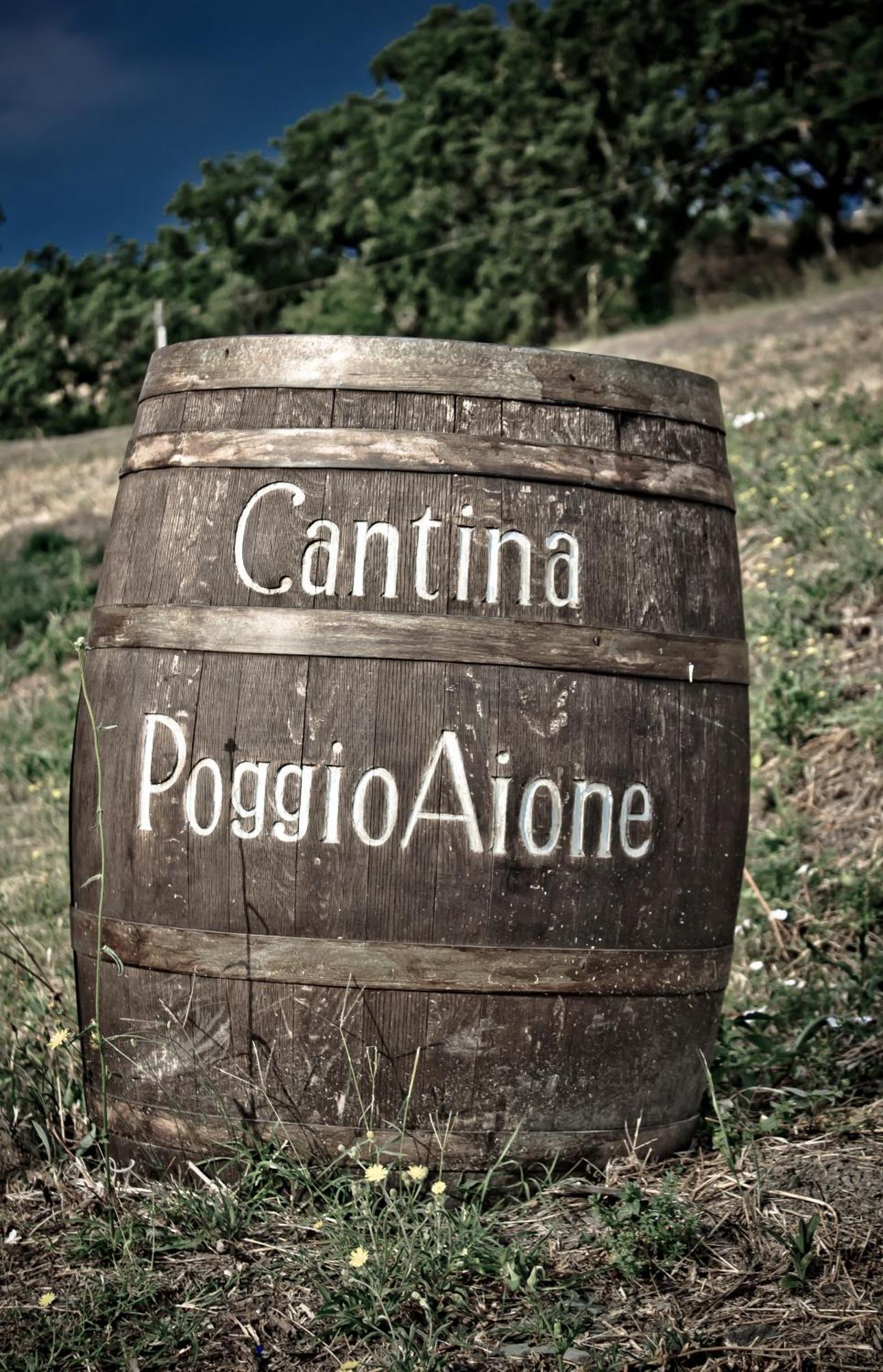 Country House Poggio Aione Pensionat Catabbio Exteriör bild