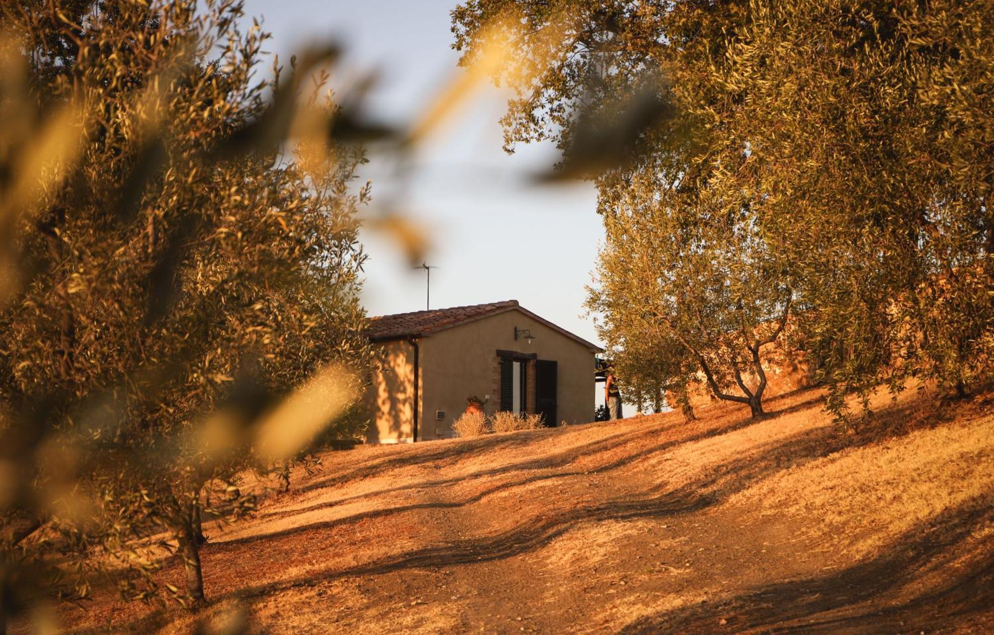 Country House Poggio Aione Pensionat Catabbio Exteriör bild