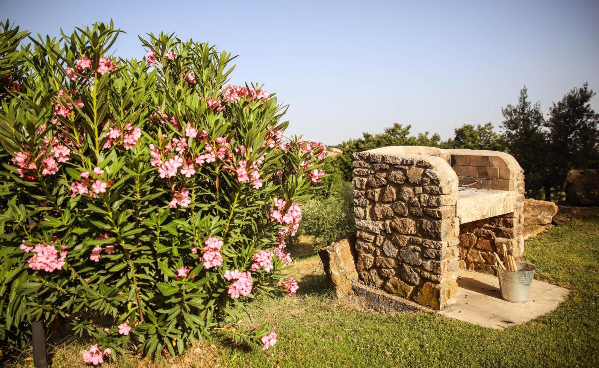 Country House Poggio Aione Pensionat Catabbio Exteriör bild